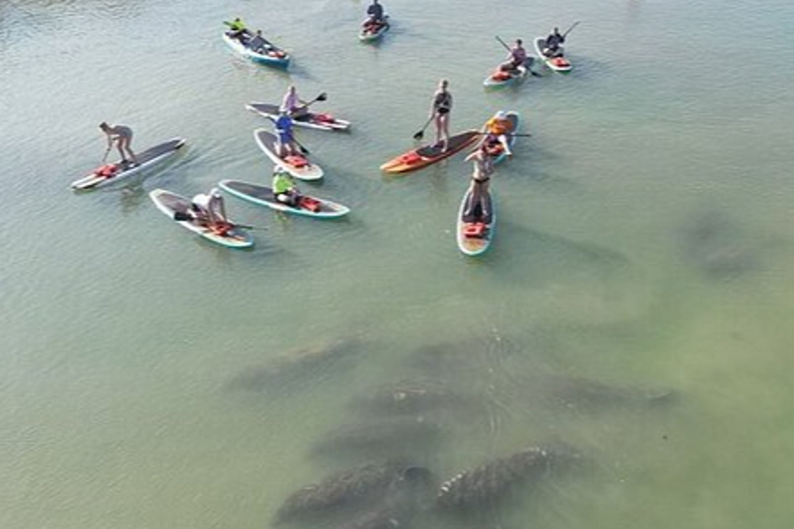 Paddleboarders on the water at Ponce Inlet